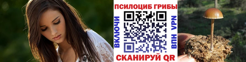 Купить закладки  Карталы  Псилоцибиновые грибы Cubensis 